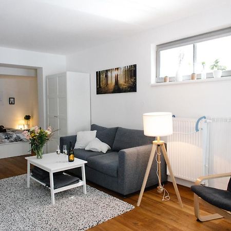 Apartmán s nádherným výhledem v centru Harrachova Esterno foto