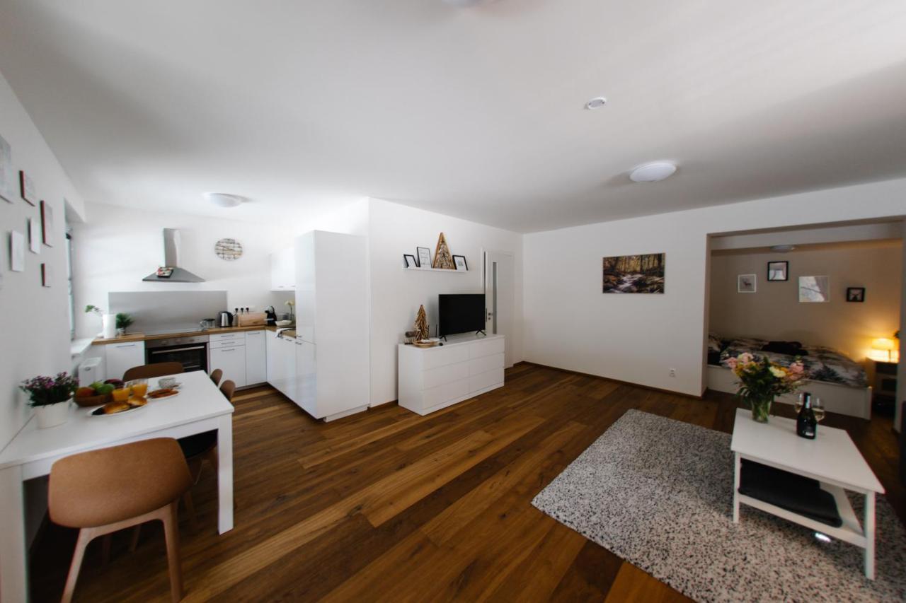 Apartmán s nádherným výhledem v centru Harrachova Esterno foto
