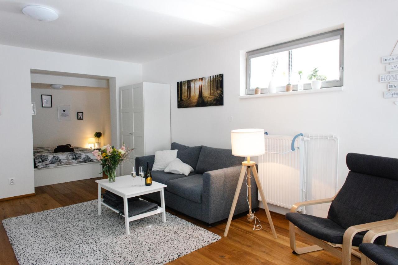 Apartmán s nádherným výhledem v centru Harrachova Esterno foto